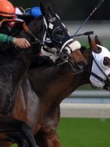 Melbourne Cup Carnival on Pacific Adventure