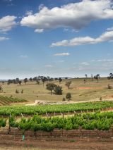 Hunter Valley Food and Wine Experience
