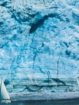 Alaska discovery land and cruise