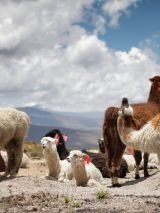 Peru Super Deal with Return Airfares