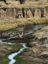 Tanzania Uncovered