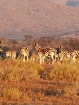Namibia Explorer