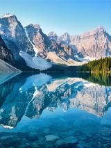White Christmas Wonders