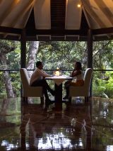 Silky Oaks Lodge Experience
