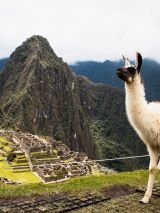 Diverse Cultures of South America with Machu Picchu