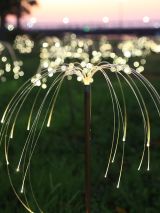 Kakadu, city sights and tropical light