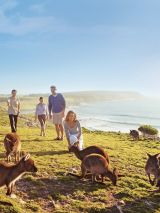 Kangaroo Island on Pacific Aria
