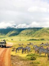 Kenya & Tanzania wildlife safari