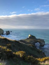 Australia and New Zealand on Emerald Princess