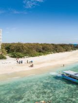 Lady Elliot Island Eco Resort