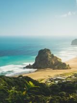 Hike and Bike the North Island