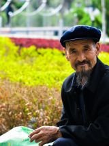 Silk Road Explorer