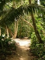 Costa Rica Adventure With Tortuguero Extension
