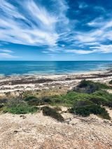 Taste of South Australia