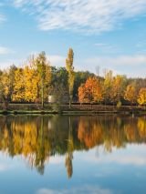 Burgundy, The River Rhone & Provence – ms William Shakespeare