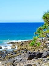 Noosa Explorer