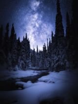 Snow Train to the Rockies including return Airfares