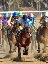 Birdsville Races by Private Plane