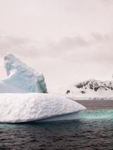 Polar Explorers and The Ross Sea Holiday on Seabourn Venture
