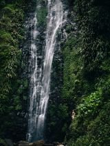 Tropical Islands & Rainforest