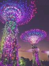 Gardens By the Bay