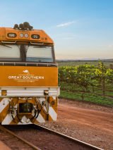 Southern discovery