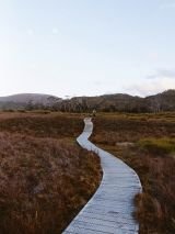 The Great Tasmanian Road Trip