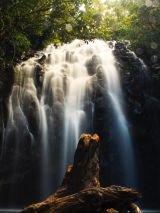 Cairns to Cobbold Gorge with return flights
