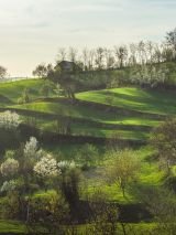 Balkan jewels with Transylvania