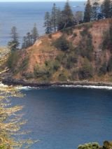 Norfolk Island Whispering Pines Cottages with return flights