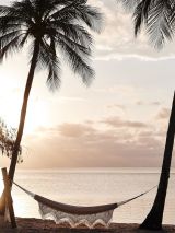 Orpheus Island Escape