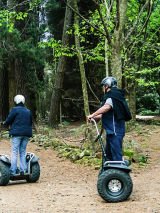 Take A Walk On The Wild Side - Self Drive Packages