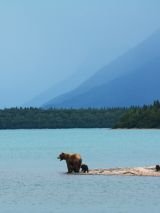 Alaska including the Arctic Circle