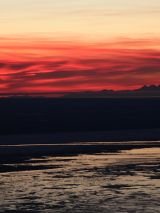 Denali Explorer Cruise-Tour with Princess Cruises