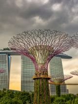 Singapore Gardens & Sightseeing Escorted Tour SOLD OUT