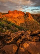 Outback Beauty