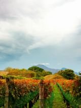 Wonders of Rome & Pompeii for Single Travellers