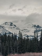 Ski Canada Banff, Lake Louise, Jasper and Whistler with Return Flights