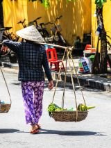 Vietnam express southbound - for solo travellers
