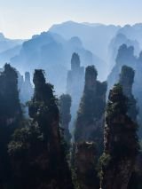 Dreams of Nature with Return Flights
