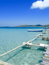 Cape York Fishing Adventure
