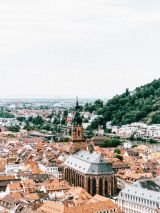 The Majestic Rhine