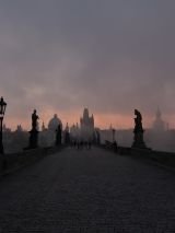 Reformation Path