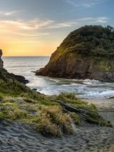 New Zealand's Bay and Beaches