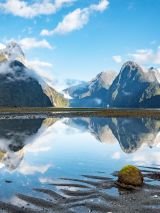 Signature South Island solo travellers