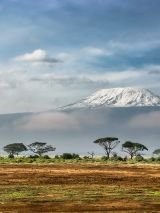 Kenyan Discovery