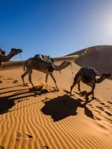 Best of Morocco - for solo travellers