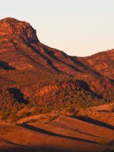 Eyre Peninsula & Flinders Discovery