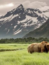 Canada with a 7 Night Alaskan Inside Passage Cruise from Melbourne