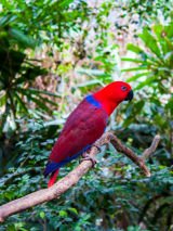 Far North Queensland Wildlife Safari